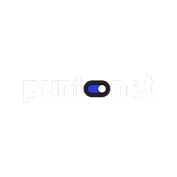 Punto Net